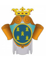 Castile and León's team logo